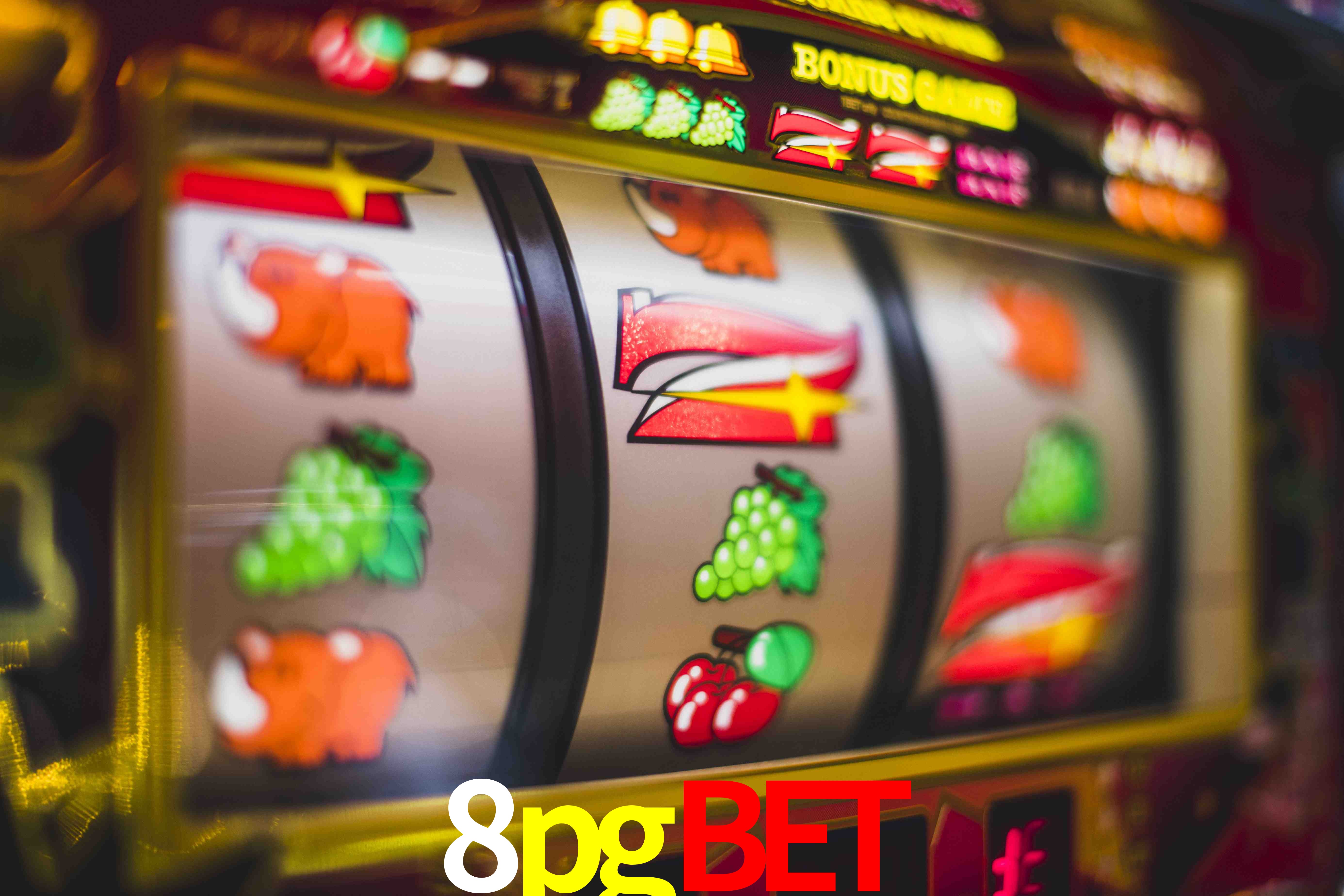 Crash Games Statistics 8pgbet